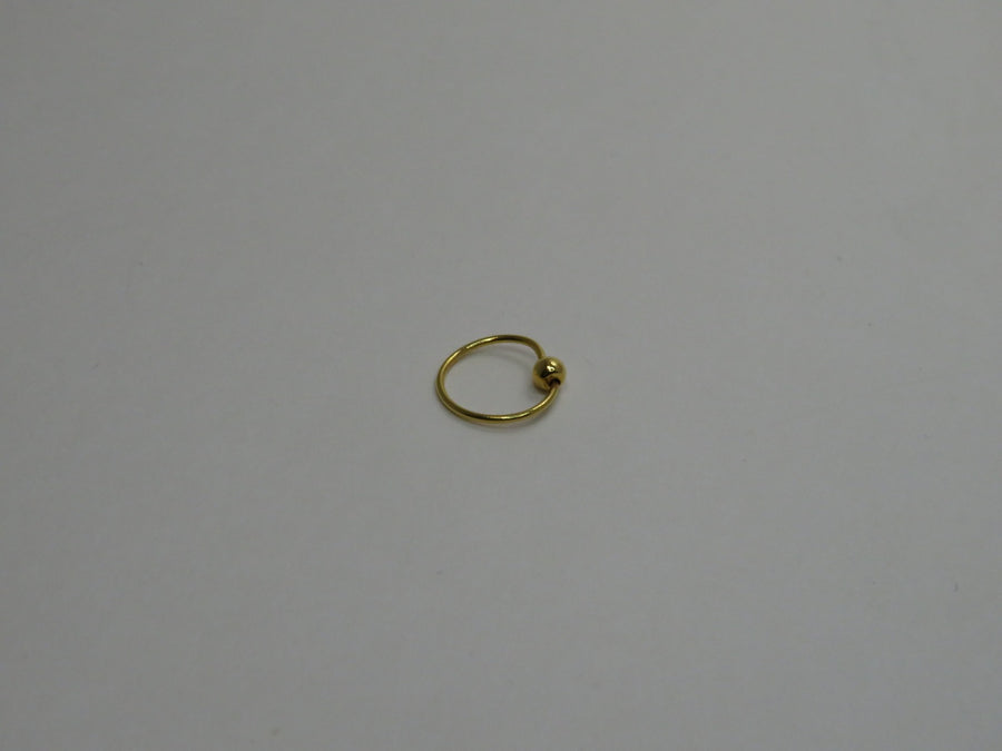 Hoop style nose ring W2